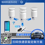 定製學校小蜜桃视频在线观看入口