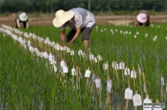 農業生產環境監測係統係統結構